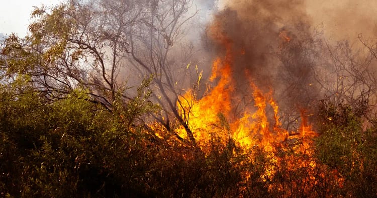 Estratégia de comunicação para uma onda de calor: saiba como entidades públicas devem informar, prevenir riscos e proteger a população.